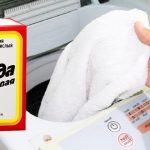 Ամենահյութալի և համեղ մալականի թթուն ձեր սեղանին