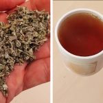 Մեքսիկական նրբաբլիթներ, որոնք տարբերվում են և՛ իրենց պատրաստման եղանակով, և՛ նուրբ համով