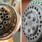 Այսպիսի արագ և համեղ ժուլյեն պատրաստելն ուղղակի հաճույք է: Ժուլյեն`  հավի մսով և սնկով, թավայում